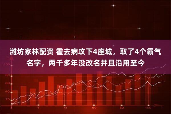 潍坊家林配资 霍去病攻下4座城，取了4个霸气名字，两千多年没改名并且沿用至今