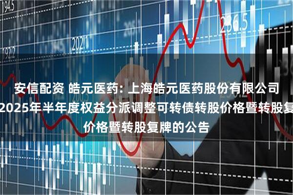 安信配资 皓元医药: 上海皓元医药股份有限公司关于实施2025年半年度权益分派调整可转债转股价格暨转股复牌的公告